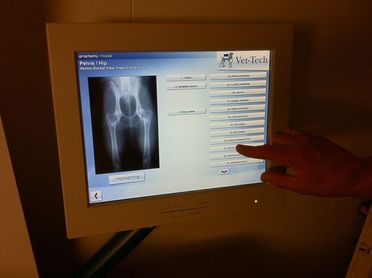 Røntgenbilde av hofteledd